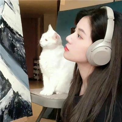 暴力效应